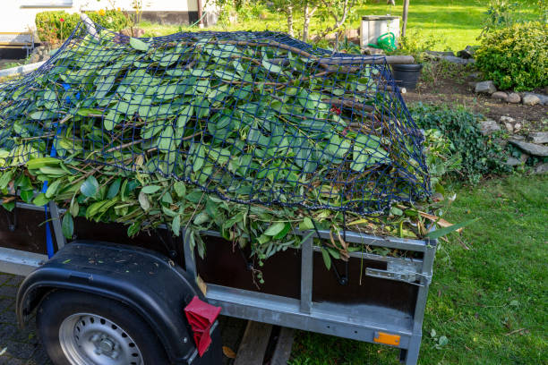 Best Same-Day Junk Removal Services  in Warner, OK